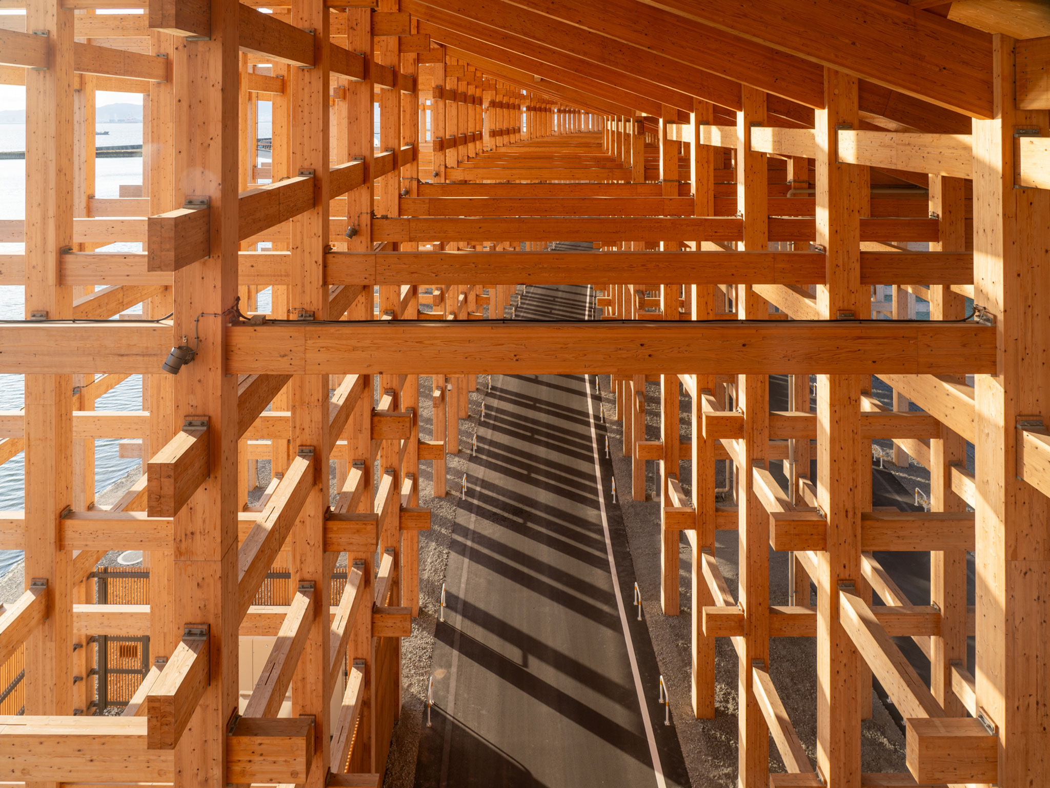 The Grand Ring by Sou Fujimoto. Photograph by William Mulvihill.